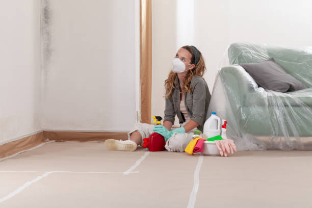 Reliable Mold Inspection contractor in Newburg, PA by WQB Mold Removal