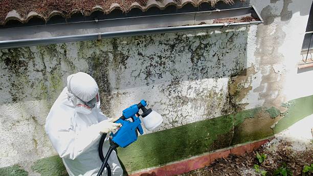 Top rated local Mold Inspection specialists in Newburg, PA